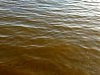 Екологи з'ясовують, чому «поіржавіло» море на одеських курортах
